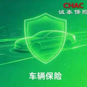 车辆保险